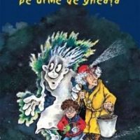 Vânătorii de fantome – pe urme de gheață, o carte aventuroasă pentru curajoșii de 7-9 ani