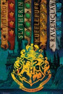 cadouri Harry Potter -poster House Flags